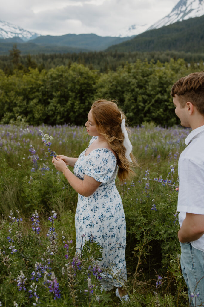 Couple in a wild lupine field outside Seward Alaska, girlfriend picking a lupine flower while boyfriend watches with mountains in the background