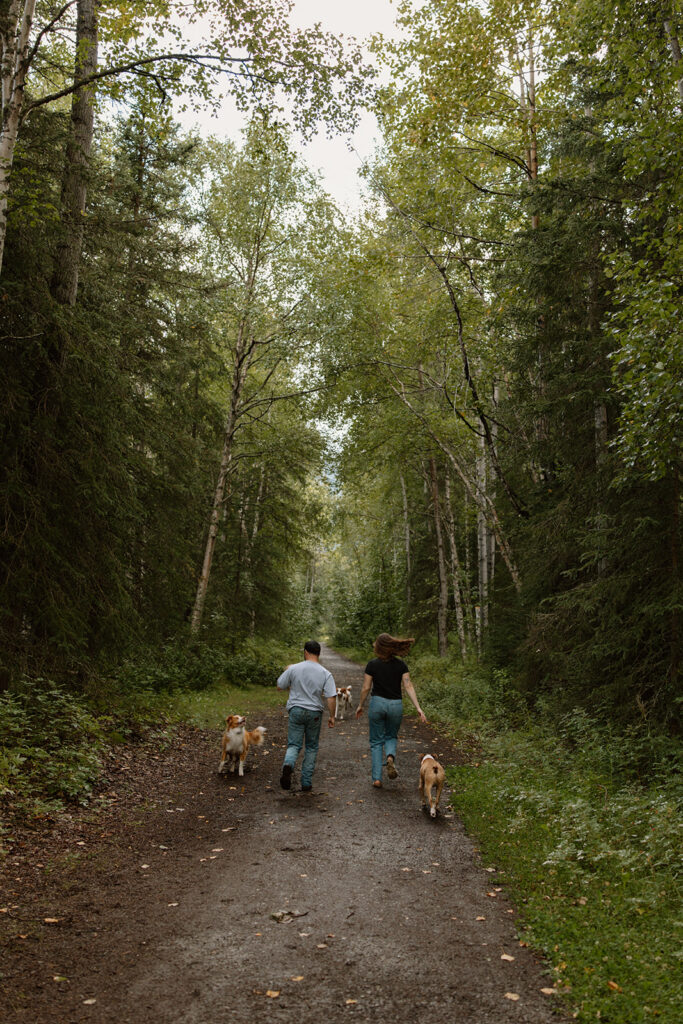 Engaged couple running down a dirt trail surrounded by birch trees at Eklutna Lake Alaska with their three dogs